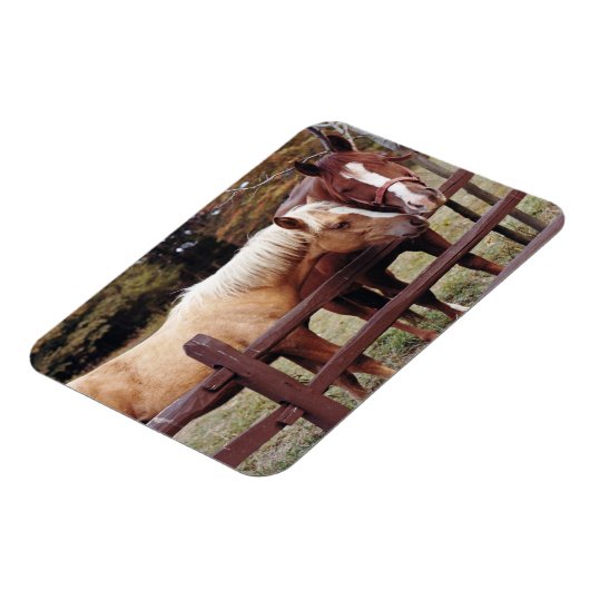 Die besten Freunde Magnet (Linke Seite)