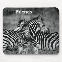 Die besten Freunde