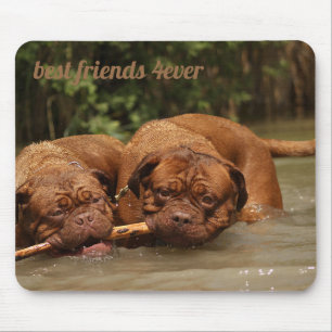 Die besten Freunde Mousepad