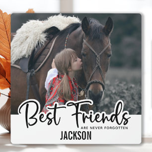 Die besten Freunde nie vergessen Pet Horse Memoria Fotoplatte