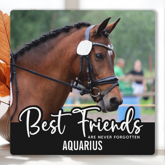 Die besten Freunde nie vergessene Pferdekundentrai Fotoplatte