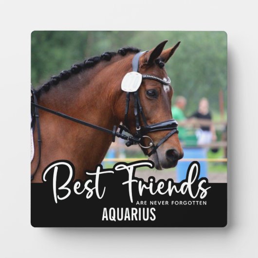 Die besten Freunde nie vergessene Pferdekundentrai Fotoplatte (Vorderseite)