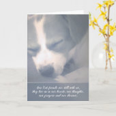 Die besten Freunde noch mit unserer Hunde Sympathy Karte (Gelbe Blume)