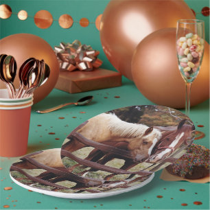 Die besten Freunde Pappteller