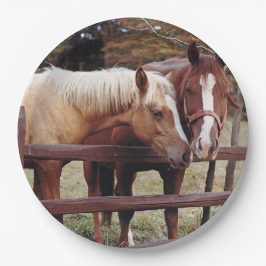 Die besten Freunde Pappteller (Vorderseite)