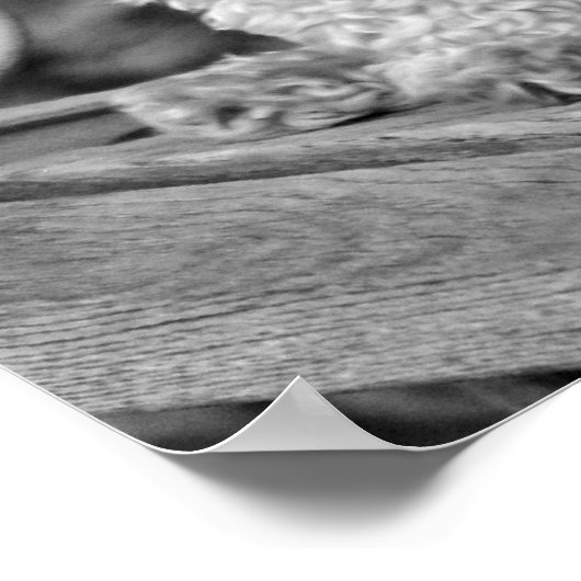 Die besten Freunde Poodles Poster (Ecke)