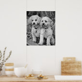 Die besten Freunde Poodles Poster (Küche)