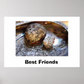 Die besten Freunde Poster (Vorne)