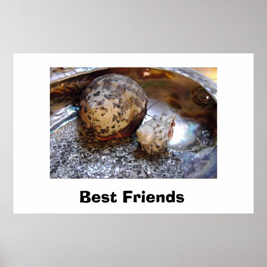 Die besten Freunde Poster (Vorne)