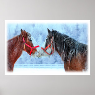 Die besten Freunde Poster