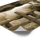 Die besten Freunde Poster (Ecke)