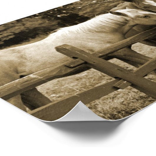 Die besten Freunde Poster (Ecke)