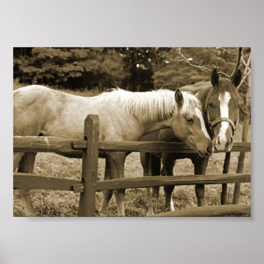 Die besten Freunde Poster (Vorne)