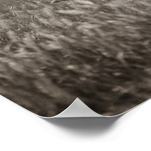 Die besten Freunde Poster (Ecke)