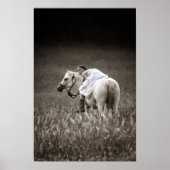 Die besten Freunde Poster (Vorne)