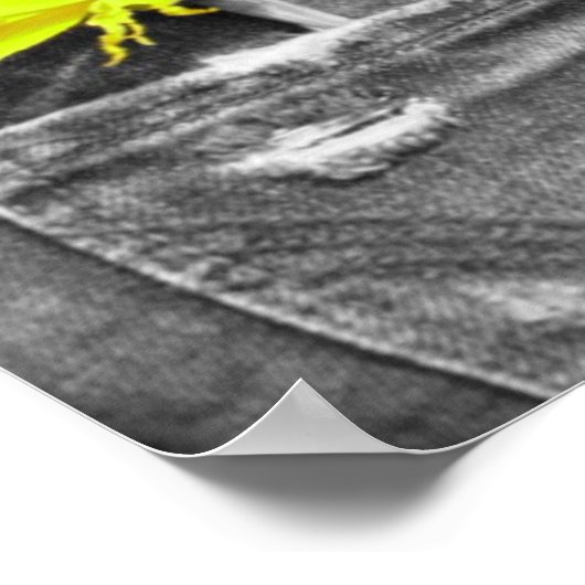 Die besten Freunde Poster Black & White (Ecke)