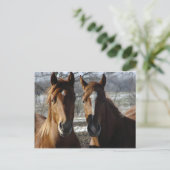 Die besten Freunde Postkarte (Stehend Vorderseite)