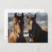 Die besten Freunde Postkarte (Vorne/Hinten)