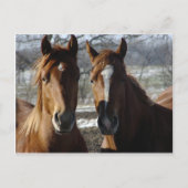 Die besten Freunde Postkarte (Vorderseite)