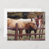 Die besten Freunde Postkarte (Vorne/Hinten)