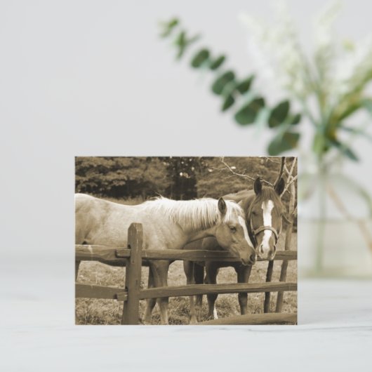 Die besten Freunde Postkarte (Stehend Vorderseite)