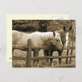 Die besten Freunde Postkarte (Vorne/Hinten)