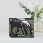 Die besten Freunde Postkarte (Stehend Vorderseite)
