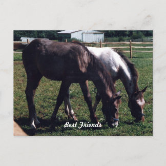 Die besten Freunde Postkarte