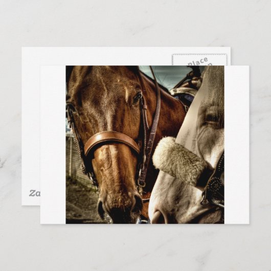 Die besten Freunde Postkarte (Vorne/Hinten)