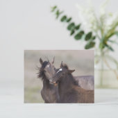 Die besten Freunde Postkarte (Stehend Vorderseite)