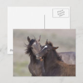 Die besten Freunde Postkarte (Vorne/Hinten)