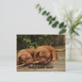 Die besten Freunde Postkarte (Stehend Vorderseite)