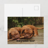 Die besten Freunde Postkarte (Vorne/Hinten)
