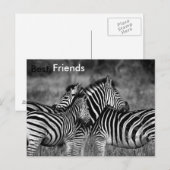 Die besten Freunde Postkarte (Vorne/Hinten)