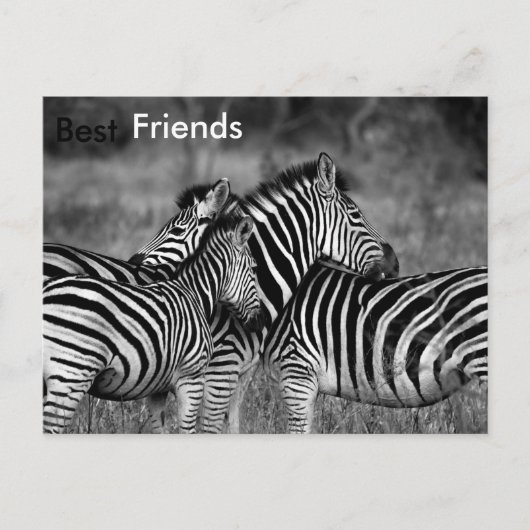 Die besten Freunde Postkarte (Vorderseite)