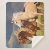 Die besten Freunde Sherpadecke (Vorderseite)