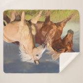 Die besten Freunde Sherpadecke (Vorderseite (Horizontal))