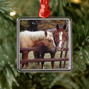 Die besten Freunde Silbernes Ornament