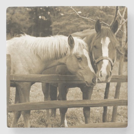 Die besten Freunde Steinuntersetzer (Vorderseite)