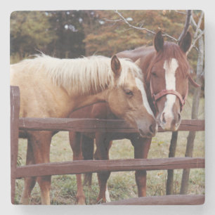 Die besten Freunde Steinuntersetzer