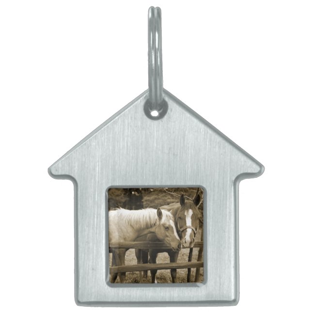 Die besten Freunde Tiermarke (Vorderseite)