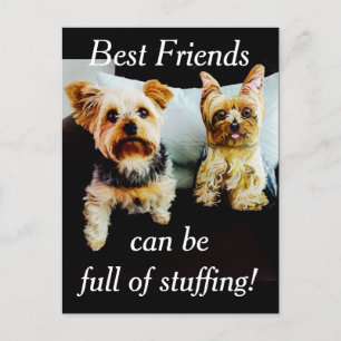 Die besten Freunde voll gestopft Yorkie Personaliz Postkarte