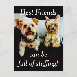Die besten Freunde voll gestopft Yorkie Personaliz Postkarte