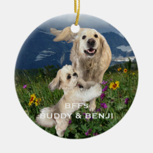 Die besten Freunde Zwei Hunde im Bereich Blume Bes Keramik Ornament