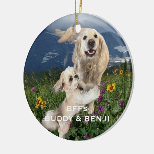 Die besten Freunde Zwei Hunde im Bereich Blume Bes Keramik Ornament (Links)