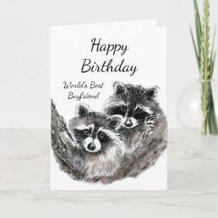 Die besten jungen Raccoon-Tiere der Welt Karte