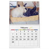 DIE BESTEN MÖPSE IN DER WELT KALENDER (Feb 2027)