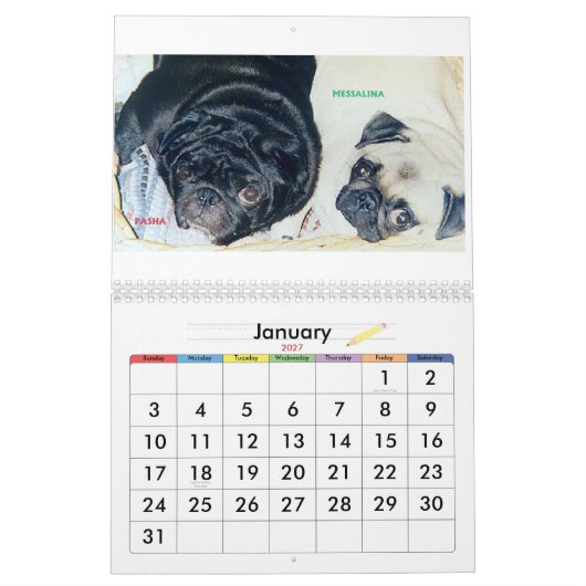 DIE BESTEN MÖPSE IN DER WELT KALENDER (Jan 2027)