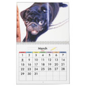 DIE BESTEN MÖPSE IN DER WELT KALENDER (Mär 2026)