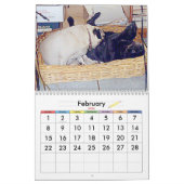 DIE BESTEN MÖPSE IN DER WELT KALENDER (Feb 2026)